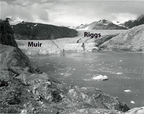 1950_muir_glacier