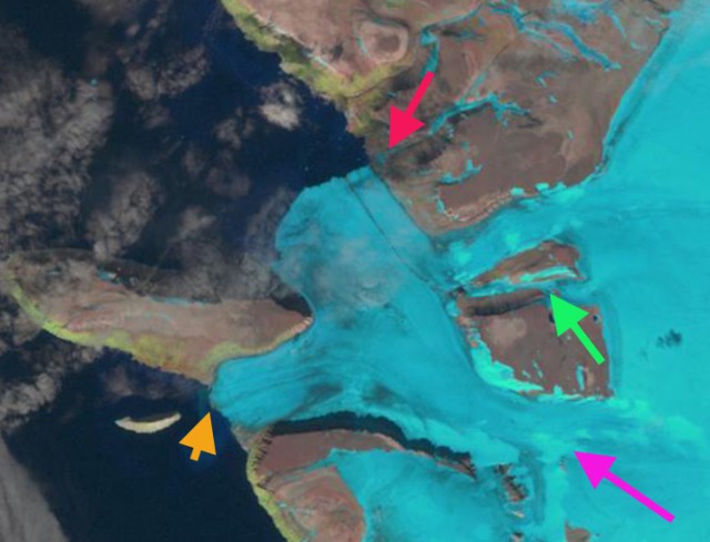 strom and dodge 1994