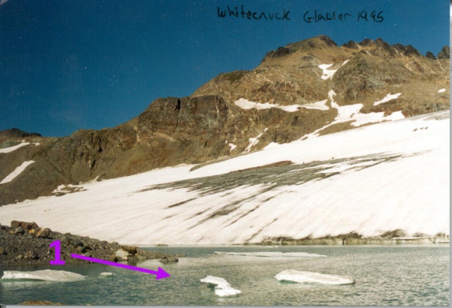whitechuck 1995 terminus