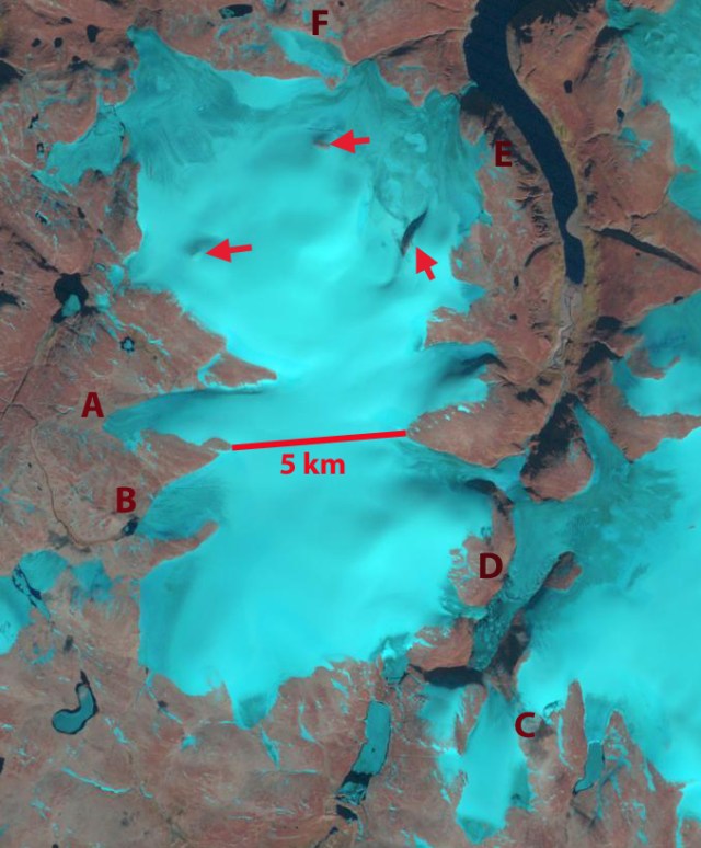 dexterity icecap 1990