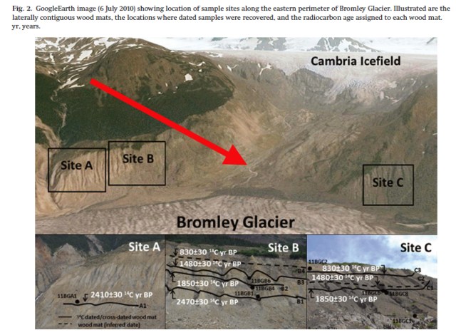 Hoffman and Smith Fgiure 2