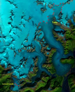 taku lemon creek snowline 2013