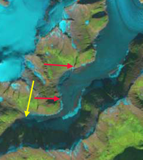 dead branch september 2013