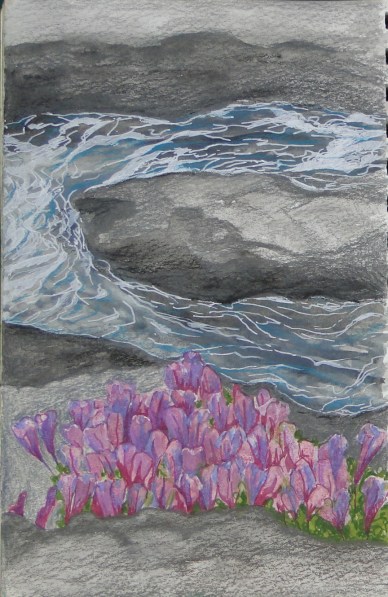 penstemon