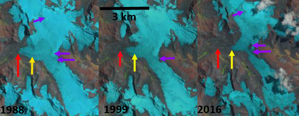 nevado soral compare