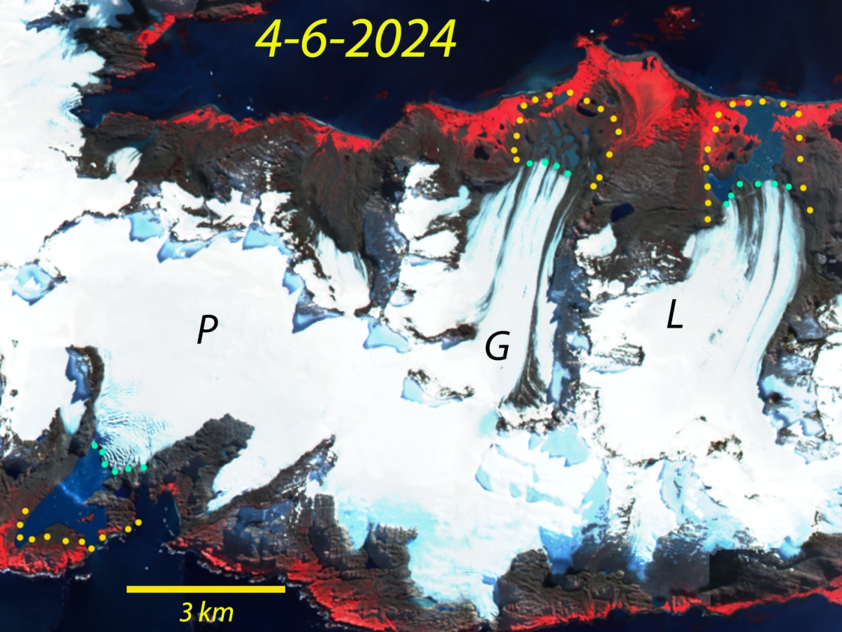 Grace, Lucas and Price Glacier Retreat from Tidewater, South Georgia Island 1987-2024