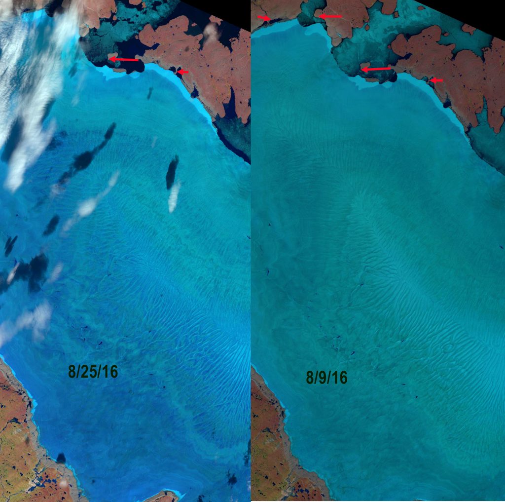 2016-barnes-transect