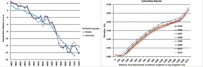 On left cumulative mass balance of Columbia Glacier compared to the WGMS global record and other North Cascade glaciers. On right change in surface elevation along the glacier from terminus to head indicating a 14-15 m thinning on average. 