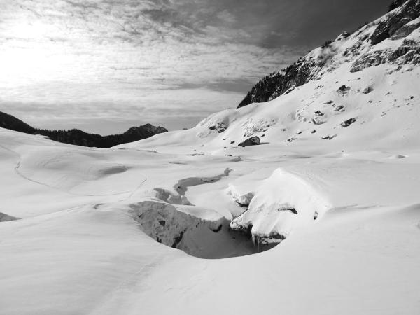 columbia terminus march