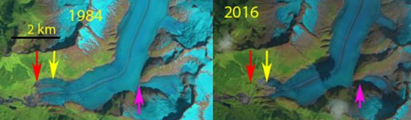 herbert compare 2016