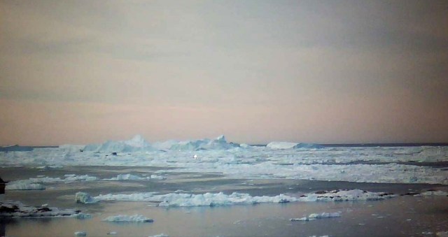 ilulissat webcam11-17-16