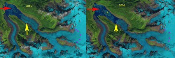 porcupine iceberg comparison