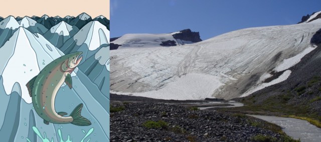 salmon glacier